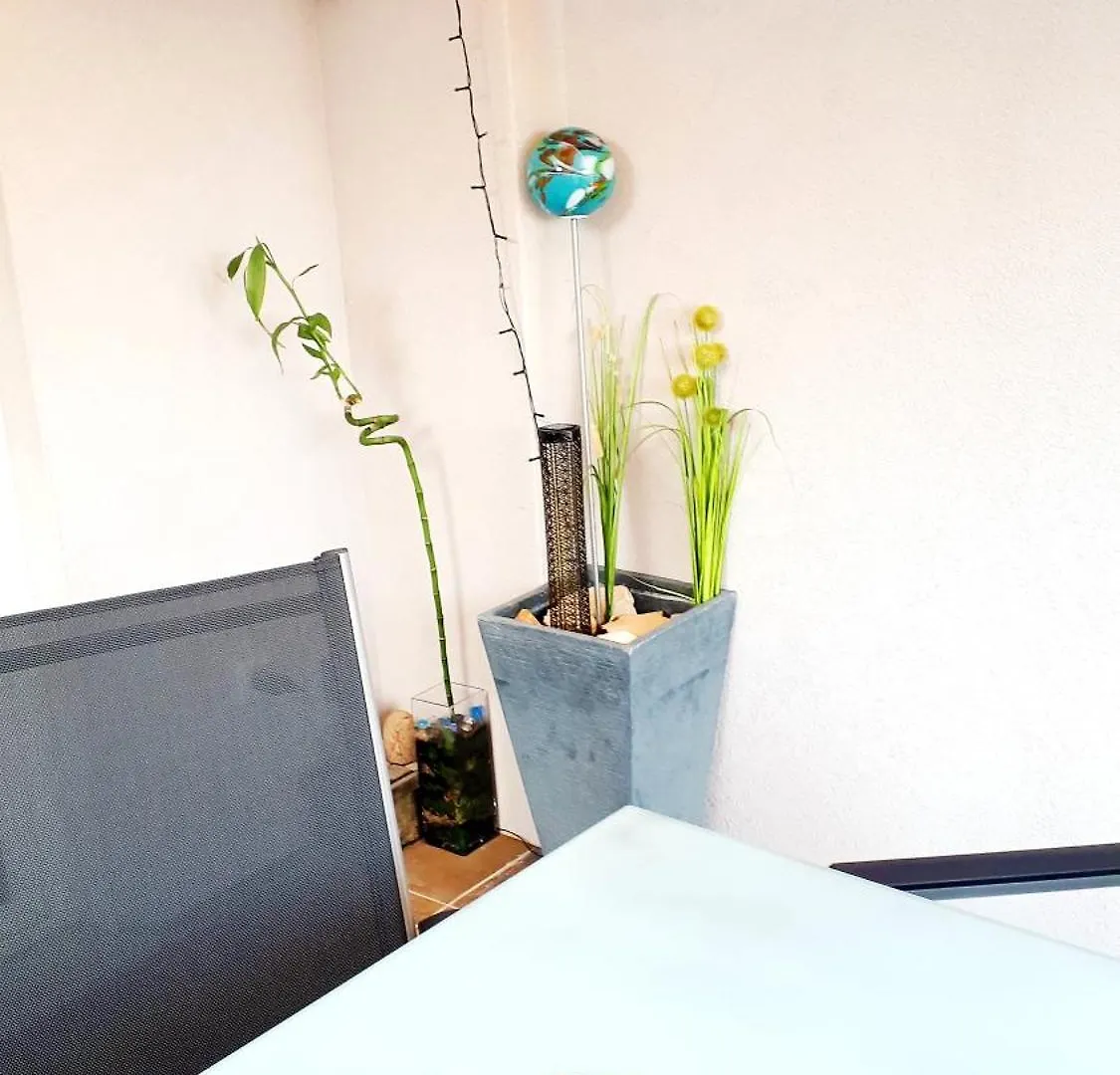 Pakua Apartments & Penthouse Rovinj 0*,