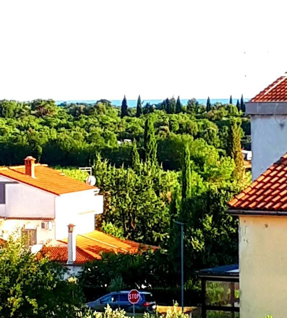 Pakua Apartments & Penthouse Rovigno Croazia